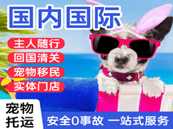 桂林两江空运地址国际宠物托运 【国